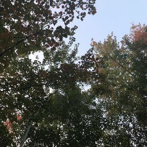 Closet Clear Out! Make Offers and I’ll Accept Reasonable Ones!